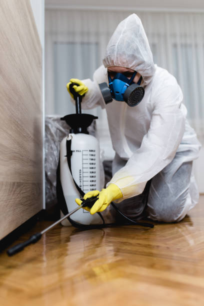 Best Fumigation Services  in Clifton Gardens, NY